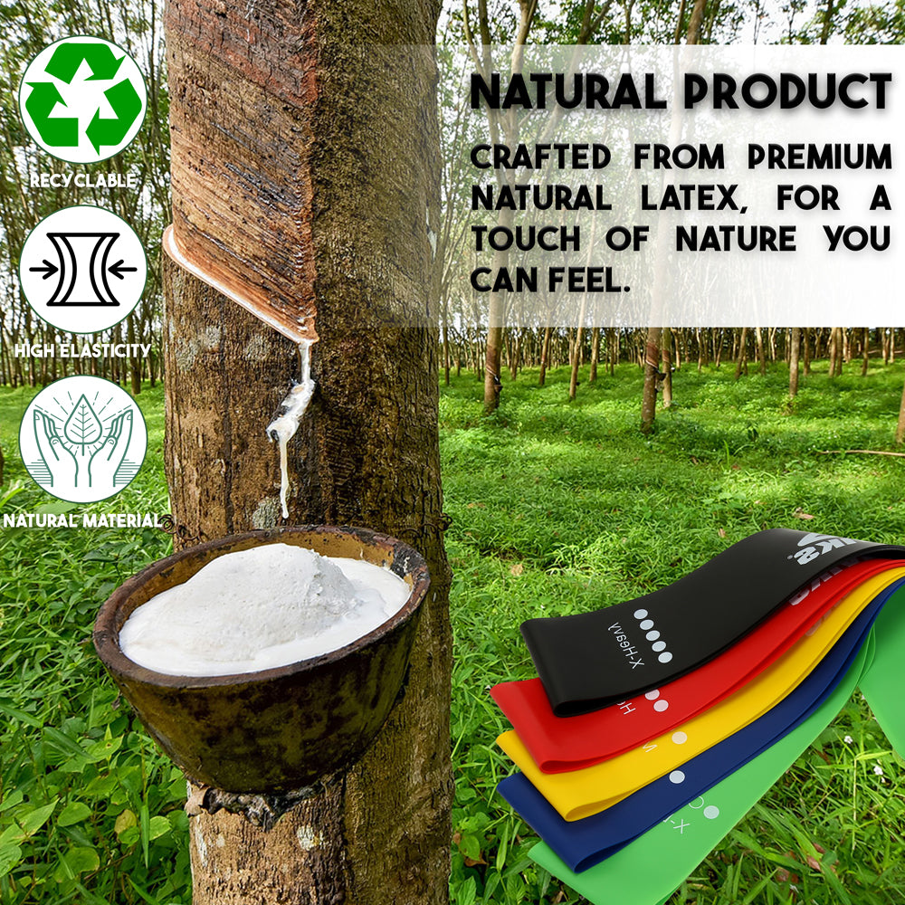 Exercise Resistance Bands for Working Out Set of 5 for Women and Men, Stretch Bands for Exercise, Physical Therapy, Arms Legs Workout, Stretching, Home Fitness Exercise Resistance Bands for Working Out Set of 5 for Women and Men, Stretch Bands for Exercise, Physical Therapy, Arms Legs Workout, Stretching, Home Fitness